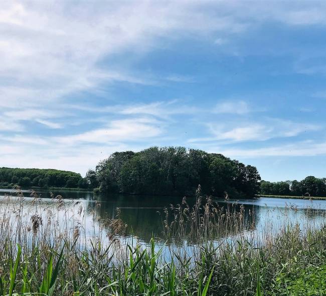 Rezerwat przyrody Stawy Raszyńskie